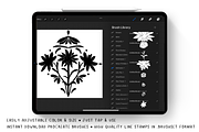 Procreate Brush Stamps - Edelweiss, a Brush Add-On by Gabba Delgado (Thumbnail 2 of 4)