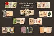 BUNDLE: 600 Academia Ephemera, an Object Graphic by The Object Atlas (Thumbnail 5 of 16)