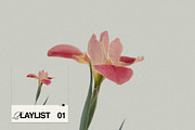 MIEL Social Media Tiles, a Social Media Template by TheMockeryShop (Thumbnail 4 of 4)
