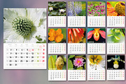 Calendar 2017 images included, a Brochure Template by Feelings (Thumbnail 2 of 2)