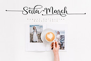 Renata, a Script Font by Sulthan Studio (Thumbnail 3 of 9)