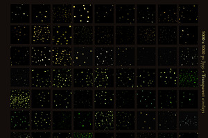 100 Fireflies Overlays