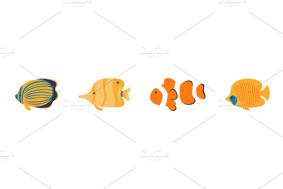 Coral reef fish illustration, an Animal Illustration by sceptical cactus