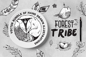 Vector Bundle Forest Tribe
