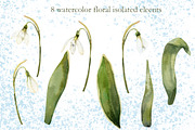 Snowdrops flowers watercolor clipart, a Decorative Illustration by Pegion art shop (Thumbnail 2 of 11)