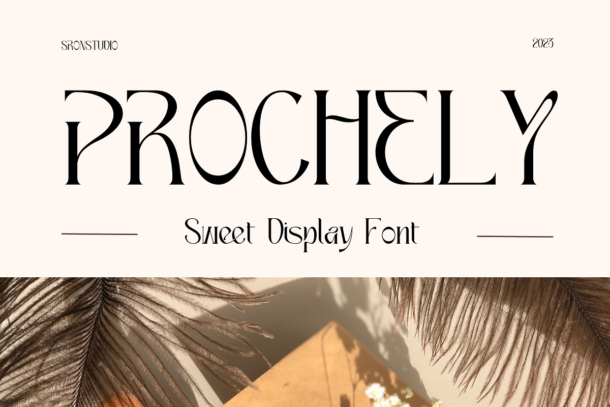 PROCHELY - Sweet Display Font, a Script Font by Sronstudio (Photo 1 of 15)