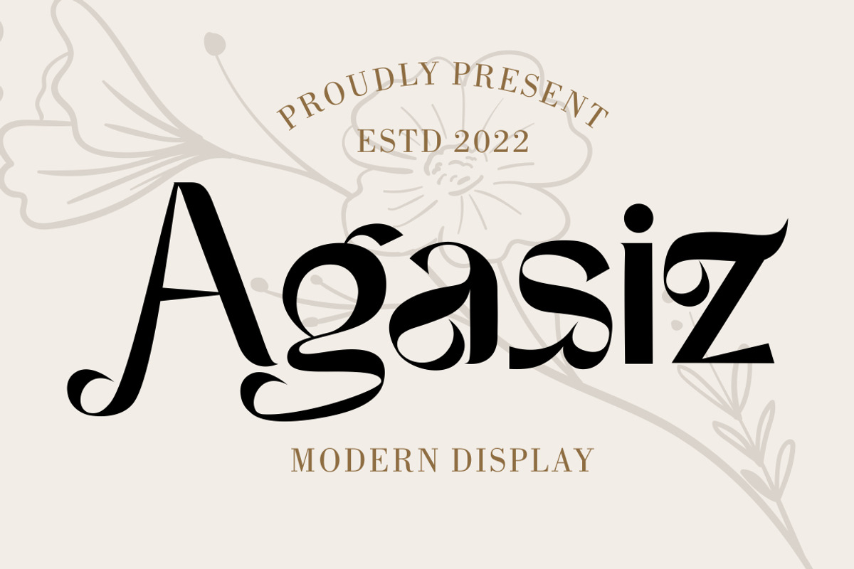 Agasiz - Modern Display Font, a Sans Serif Font by PutraCetol Studio (Photo 1 of 11)