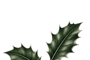 ETARA Vintage Holiday Studio, an Object Graphic by ETARA by Mea Hau (Thumbnail 27 of 94)