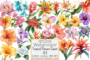 Watercolor Tropical Flowers Cipart, a Seasonal Illustration by Design Market
