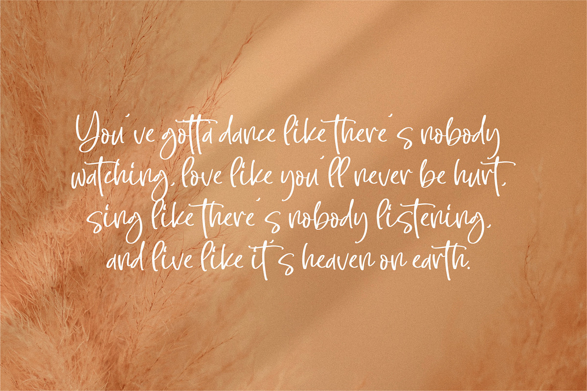 Sellaheby, a Script Font by Integritype Studio (Photo 11 of 15)