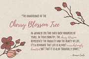 Hand Sketched Cherry Blossoms, a Decorative Illustration by By Kerri Ann (Thumbnail 3 of 3)