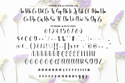 Variety | Script Font, a Handwritten Font by Scratchones (Thumbnail 7 of 9)
