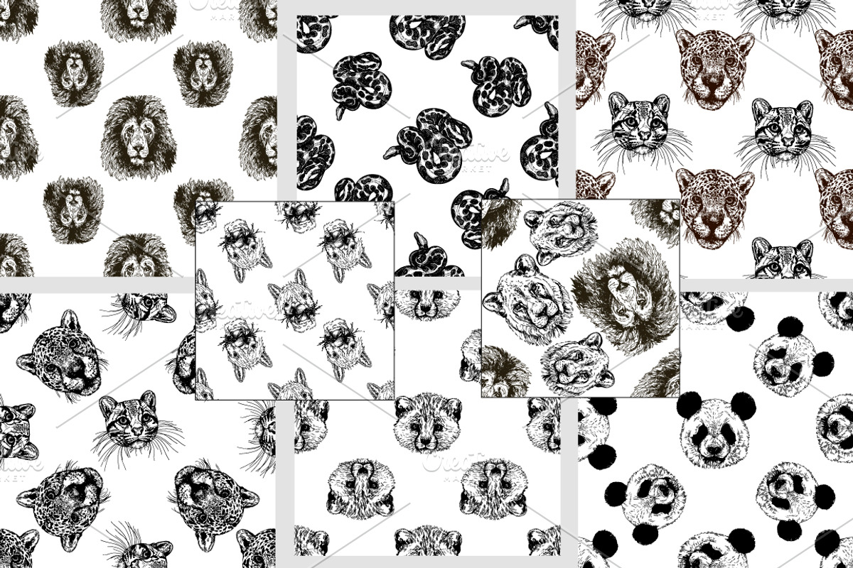 Animal Faces, an Animal Illustration by Ecaterina Sciuchina (Photo 7 of 7)