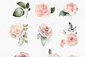 Peach And Pink Roses Watercolor Clip