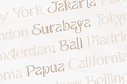 Bhalleux Elegant Serif, a Serif Font by Glyphstyle (Thumbnail 10 of 11)