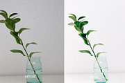 30 BRIGHT LIGHTROOM PRESETS, a Preset Add-On by Victoria Bee Presets (Thumbnail 6 of 24)