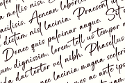 Purgatory – Casual Handwritten Font, a Handwritten Font by Basnistudio (Thumbnail 3 of 13)