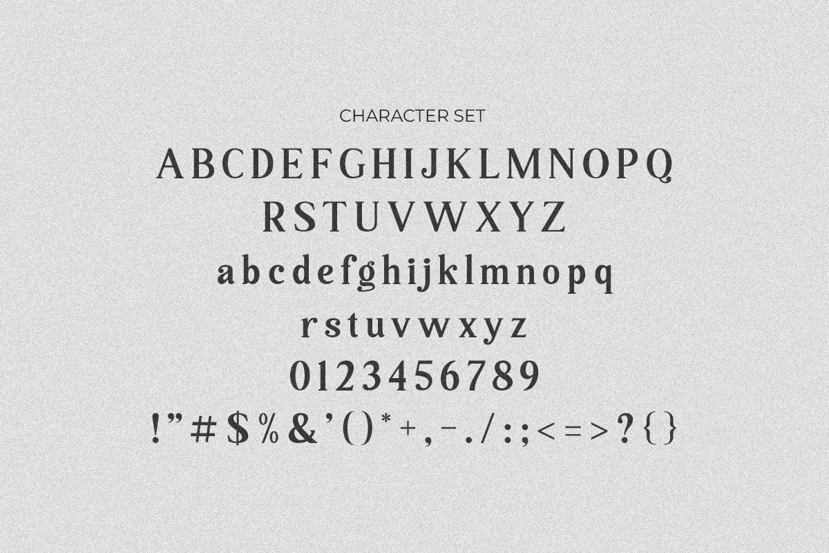 Backind Maldina Modern Font, a Serif Font by Multype Studio (Photo 11 of 13)