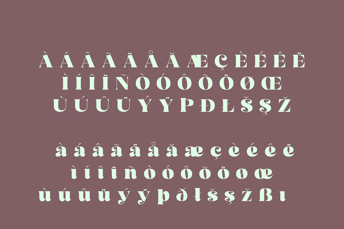 Leguar – A Modern Serif, a Serif Font by Creative Foundry (Photo 3 of 8)