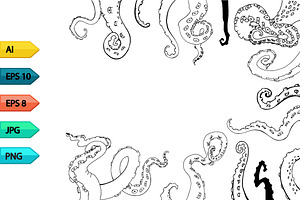 Vector sketch octopus tentacles