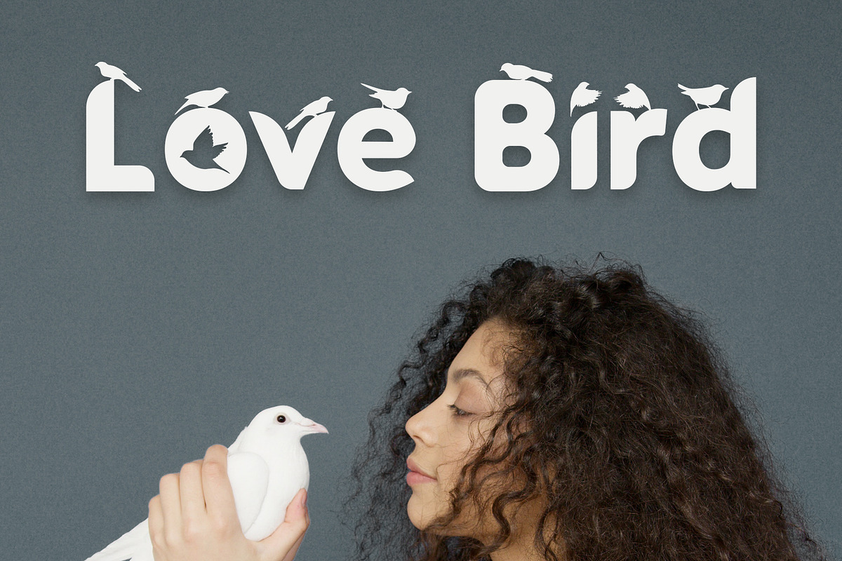 Black Bird - Cute Decorative Font, a Font by Artkenza (Photo 5 of 5)