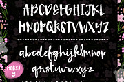 Fetching- A Modern Brush Font, a Script Font by Angie Makes (Thumbnail 3 of 5)