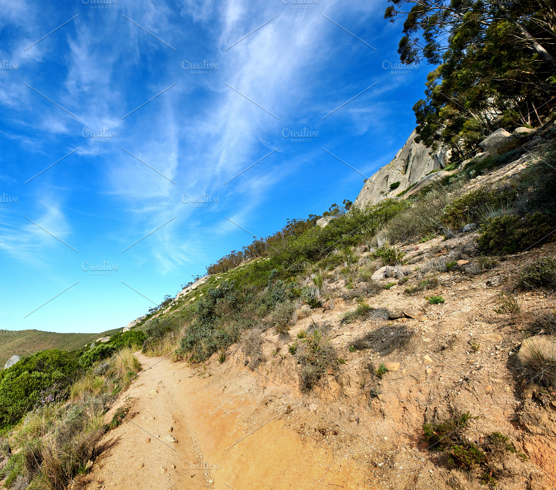 Mountain trail - Table Mountain National Park, a Photo by Peopleimages.com