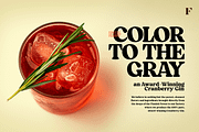 Blood Orange Vintage Serif, a Serif Font by Fenotype (Thumbnail 5 of 16)