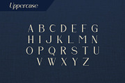 Farielatte, a Serif Font by Rishsketch (Thumbnail 8 of 13)