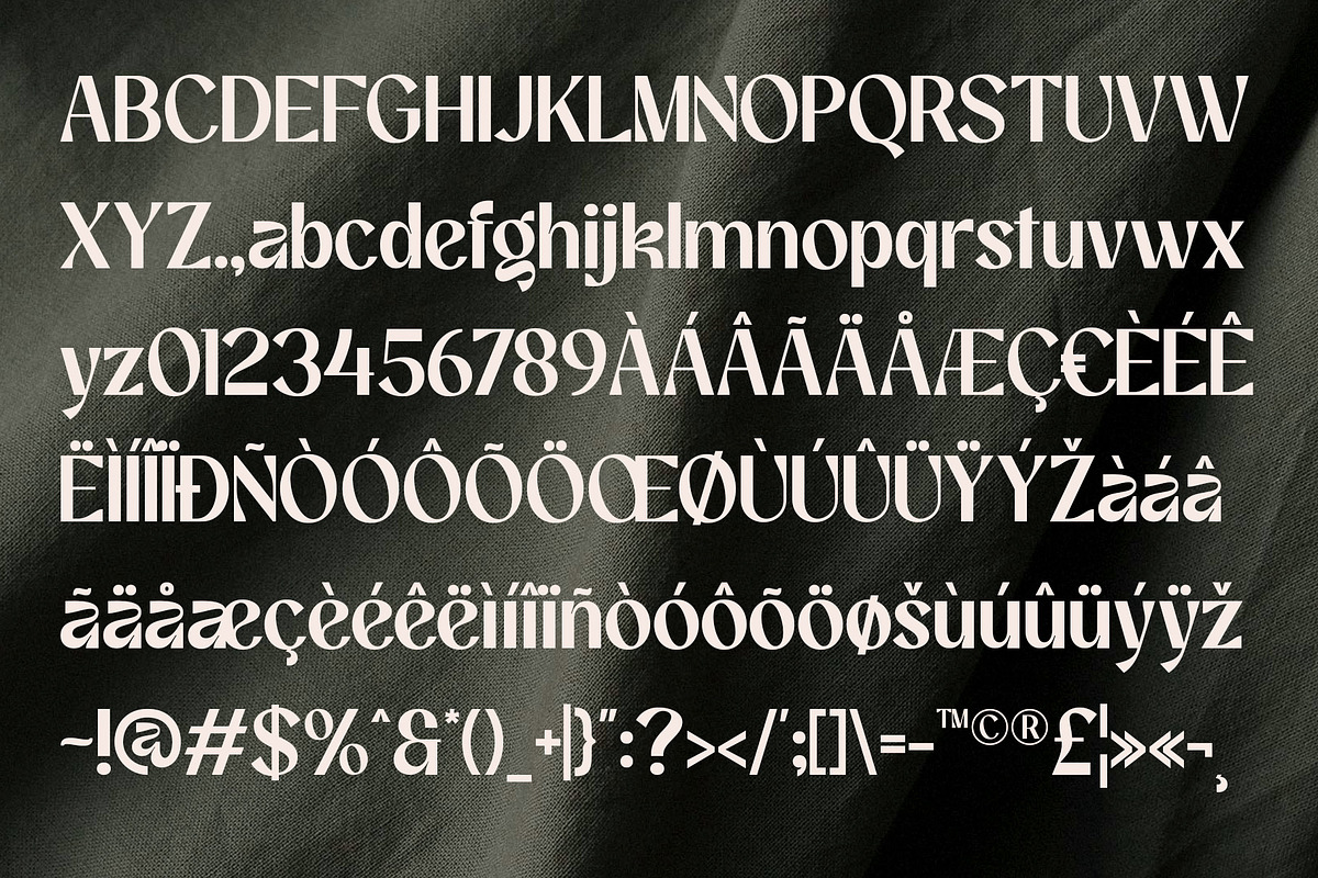 Affigue | Modern Clean Sans Serif, a Sans Serif Font by Typoraith Co (Photo 12 of 15)