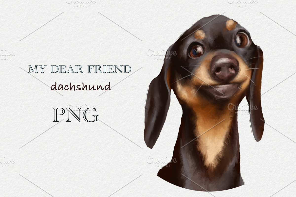 Dog dachshund, an Animal Illustration by sheincar (Photo 1 of 3)
