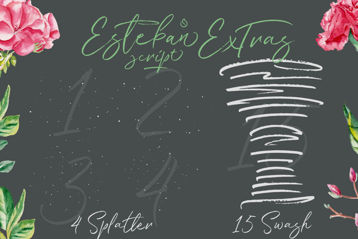 Esteban Script, a Script Font by JROH Creative (Photo 11 of 11)
