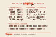 Wingstone, a Sans Serif Font by Omotu Studio (Thumbnail 11 of 12)