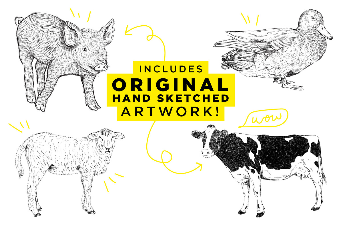 Farm Animal Illustration Collection, an Animal Illustration by Lettering Supply Co. (Photo 2 of 3)