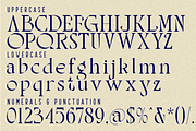 Theatrical Blending - Elegant Font, a Serif Font by 177Studio (Thumbnail 8 of 8)