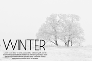 WILDWOOD, a Sans Serif Font by FreshTypeINK (Thumbnail 1 of 8)