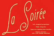 La Fine Signature Elegant Script, a Script Font by Struvictory.art (Thumbnail 4 of 9)