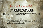 Baroness - stylized baroque font, a Symbol Font by Ekaterina Glazkova (Thumbnail 6 of 10)