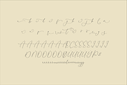 Homylane Dreamyntine Chic Calligraph, a Script Font by Storytype Studio (Thumbnail 13 of 15)