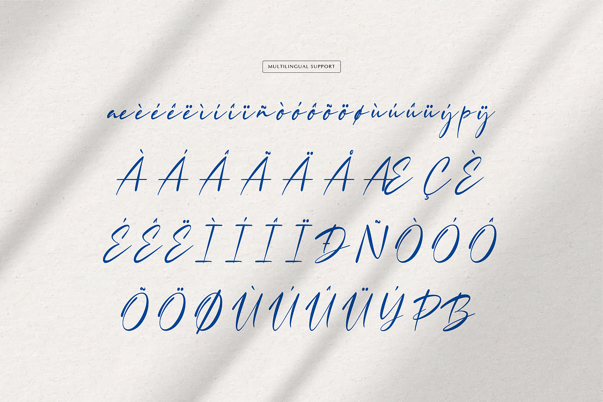 Lowreika Augusta | Classic Signature, a Script Font by gracetype_studio (Photo 12 of 12)
