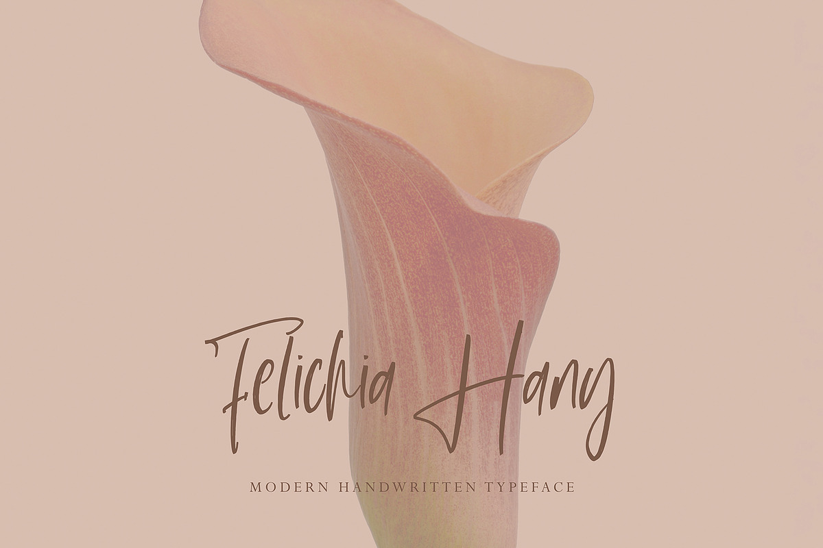 Parthey, a Script Font by pineungtype (Photo 8 of 10)