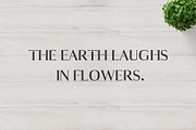 Maaz Serif Fonts Family Pack, a Serif Font by Creativetacos (Thumbnail 5 of 5)