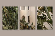 Lifestyle Essentials 4, a Beauty & Fashion Photo by Floral Deco (Thumbnail 2 of 7)