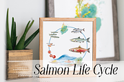 Watercolour Salmon Life Cycle Set, an Education Illustration by Tati Bordiu (Thumbnail 2 of 4)