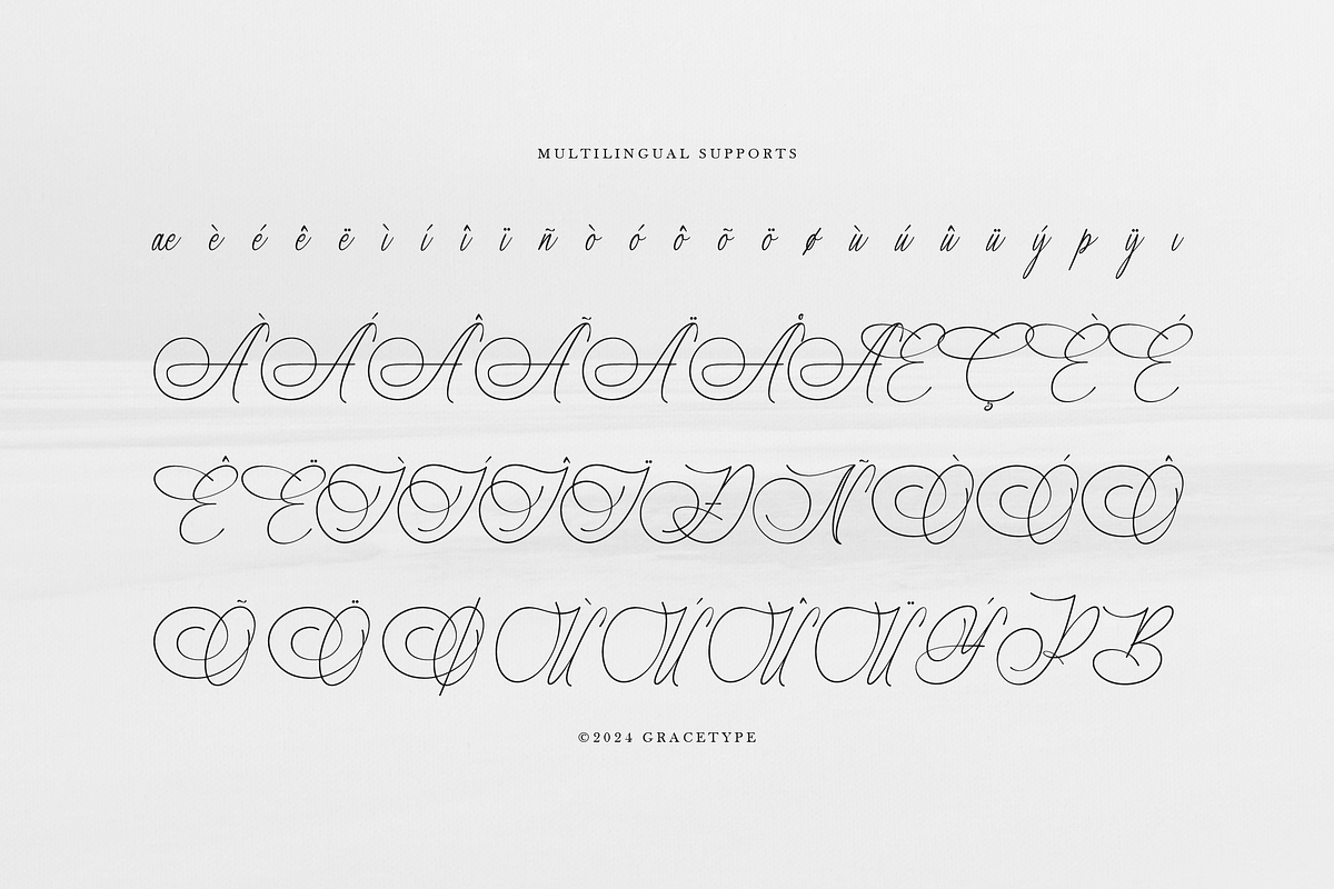 Marseliyon Elegant Signature Script, a Script Font by gracetype_studio (Photo 12 of 12)
