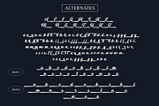 Chicago Downton - Bold Script Font, a Handwritten Font by Myn Type (Thumbnail 10 of 10)