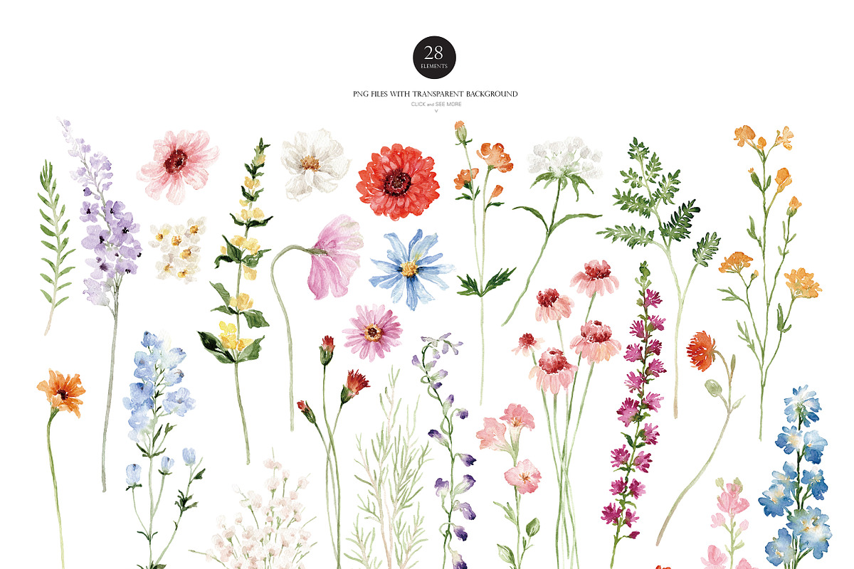 Watercolor Flower - Delicate Wild, a Decorative Illustration by Beigetime (Photo 3 of 16)