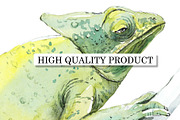 Watercolor Wild Animals, an Animal Illustration by Budogoshch (Thumbnail 5 of 5)