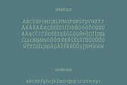 Legacy'17 Pro Typeface, a Slab Serif Font by Tapiwanashe Garikayi (Thumbnail 5 of 9)