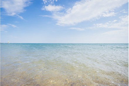 Beach on a Bright Summer Day